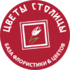 landing_logo_x3